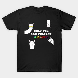 Only you can prevent Drama T-Shirt